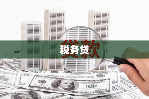 芦竹税务贷