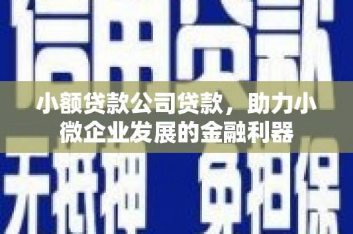 芦竹小额贷款公司贷款，助力小微企业发展的金融利器