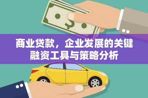 芦竹商业贷款，企业发展的关键融资工具与策略分析