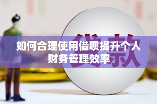 芦竹如何合理使用借呗提升个人财务管理效率