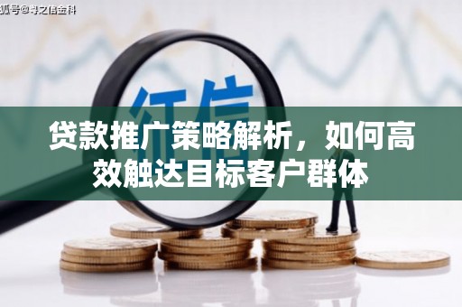 芦竹贷款推广策略解析，如何高效触达目标客户群体