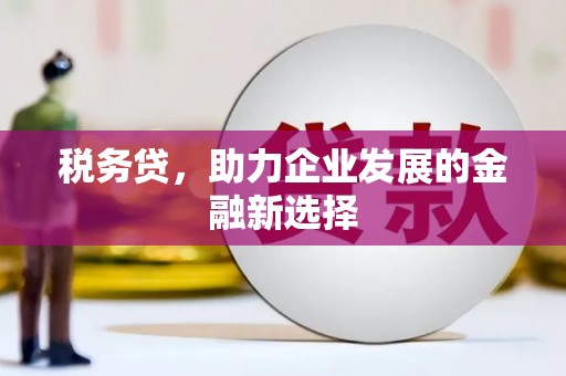 芦竹税务贷，助力企业发展的金融新选择