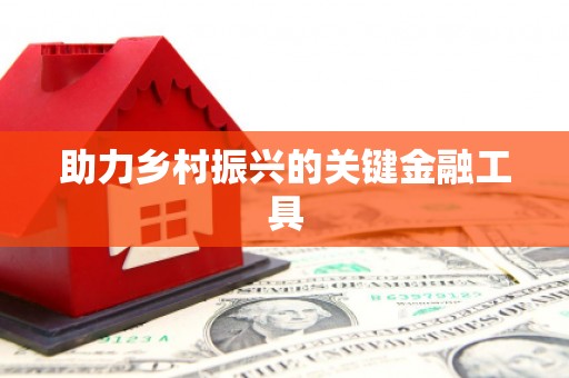 芦竹助力乡村振兴的关键金融工具