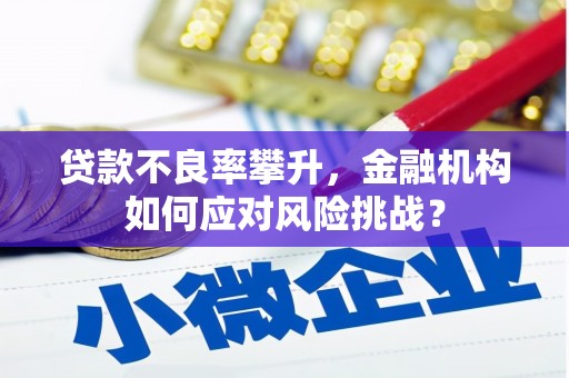芦竹贷款不良率攀升，金融机构如何应对风险挑战？