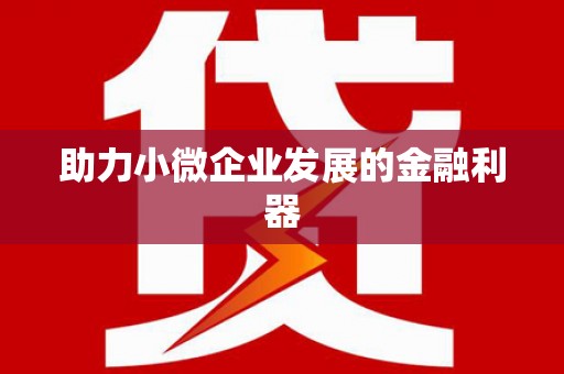芦竹助力小微企业发展的金融利器