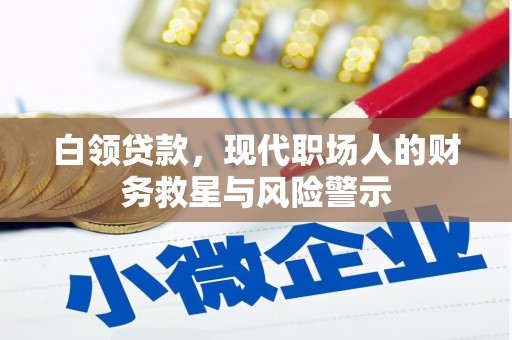 芦竹白领贷款，现代职场人的财务救星与风险警示