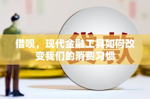 芦竹借呗，现代金融工具如何改变我们的消费习惯