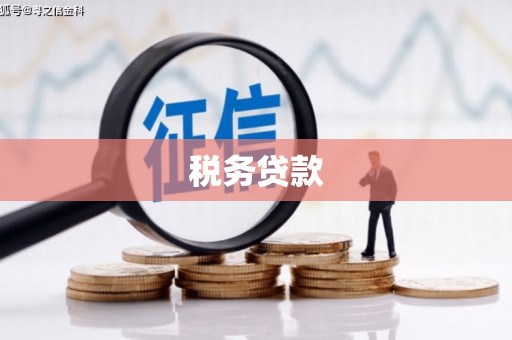 芦竹税务贷款