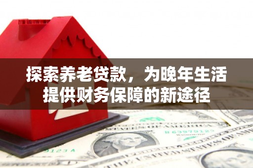 芦竹探索养老贷款，为晚年生活提供财务保障的新途径