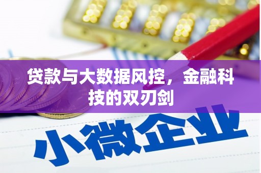 芦竹贷款与大数据风控，金融科技的双刃剑