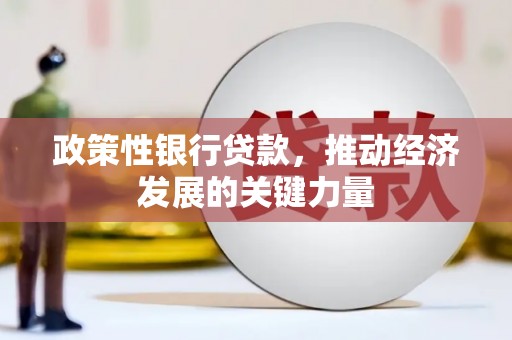 芦竹政策性银行贷款，推动经济发展的关键力量