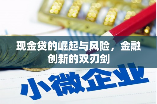 芦竹现金贷的崛起与风险，金融创新的双刃剑