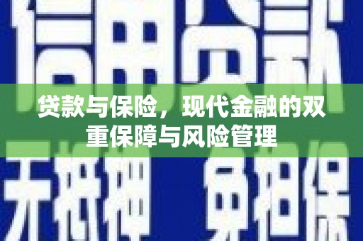 芦竹贷款与保险，现代金融的双重保障与风险管理