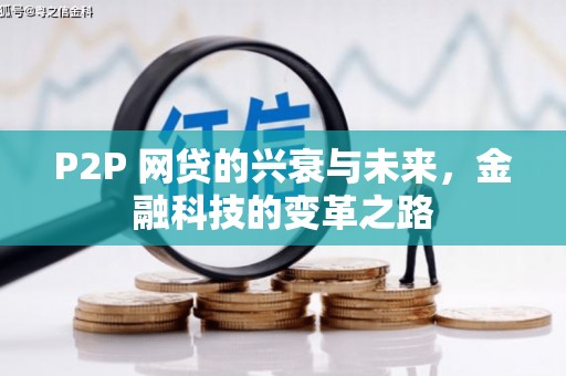 芦竹P2P 网贷的兴衰与未来，金融科技的变革之路