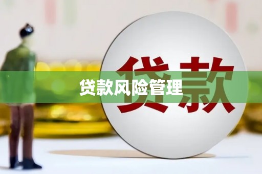 芦竹贷款风险管理