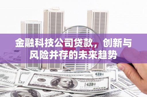 芦竹金融科技公司贷款，创新与风险并存的未来趋势