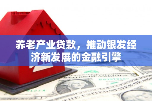 芦竹养老产业贷款，推动银发经济新发展的金融引擎