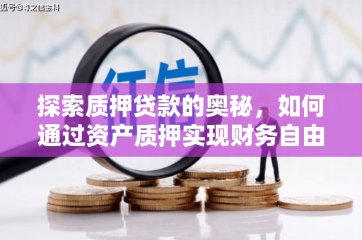 芦竹探索质押贷款的奥秘，如何通过资产质押实现财务自由