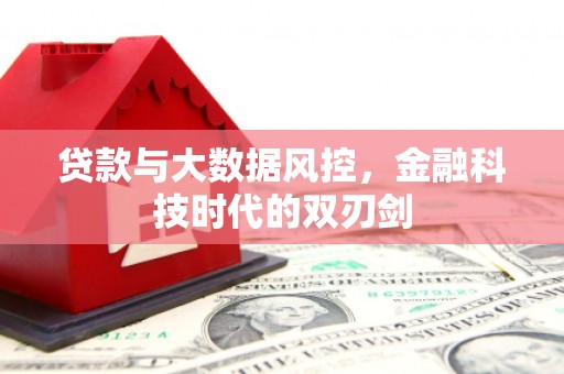 芦竹贷款与大数据风控，金融科技时代的双刃剑