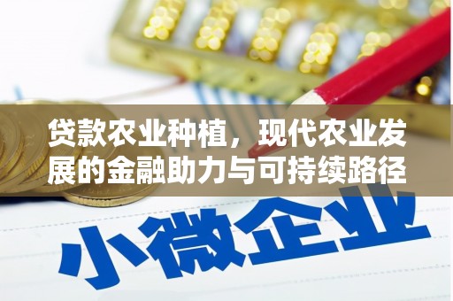 芦竹贷款农业种植，现代农业发展的金融助力与可持续路径