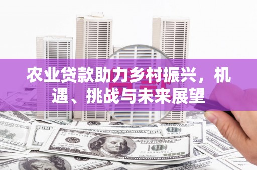 芦竹农业贷款助力乡村振兴，机遇、挑战与未来展望