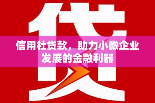 芦竹信用社贷款，助力小微企业发展的金融利器