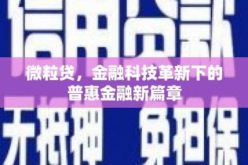 芦竹微粒贷，金融科技革新下的普惠金融新篇章