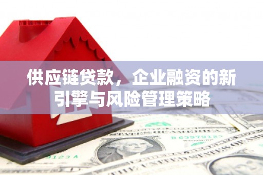 芦竹供应链贷款，企业融资的新引擎与风险管理策略