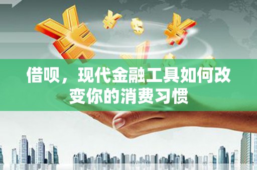 芦竹借呗，现代金融工具如何改变你的消费习惯