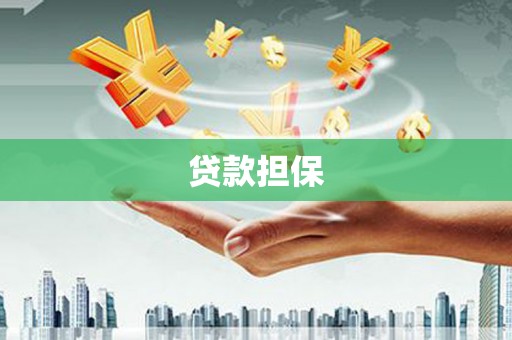芦竹贷款担保
