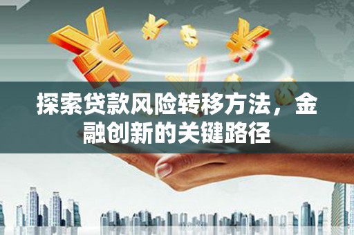 芦竹探索贷款风险转移方法，金融创新的关键路径