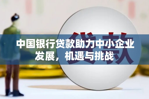 芦竹中国银行贷款助力中小企业发展，机遇与挑战