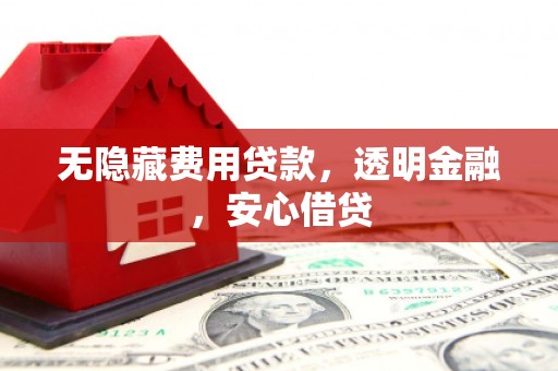 芦竹无隐藏费用贷款，透明金融，安心借贷