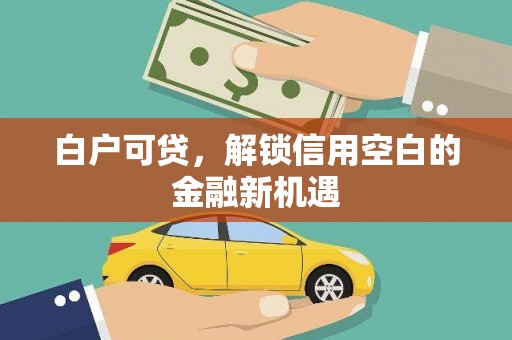 芦竹白户可贷，解锁信用空白的金融新机遇