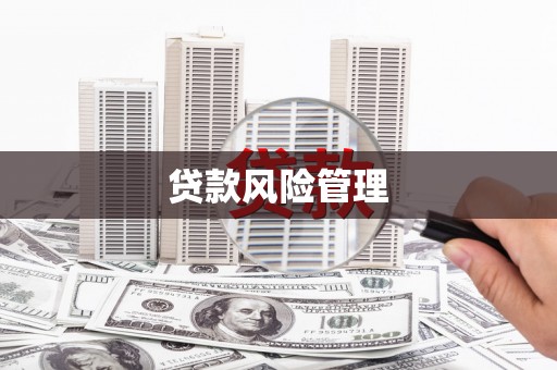 芦竹贷款风险管理