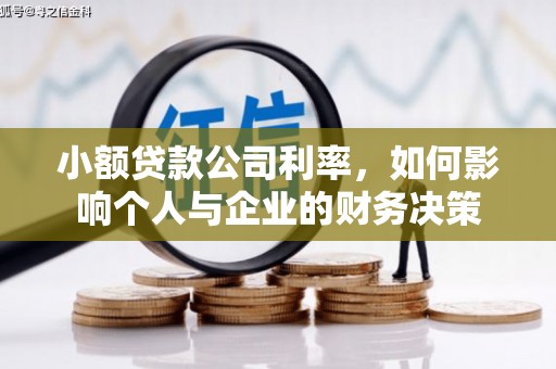 芦竹小额贷款公司利率，如何影响个人与企业的财务决策