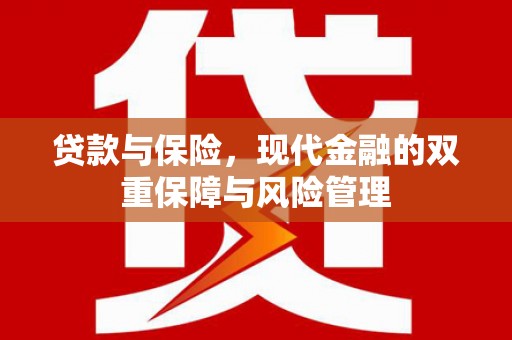 芦竹贷款与保险，现代金融的双重保障与风险管理