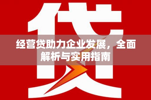 芦竹经营贷助力企业发展，全面解析与实用指南