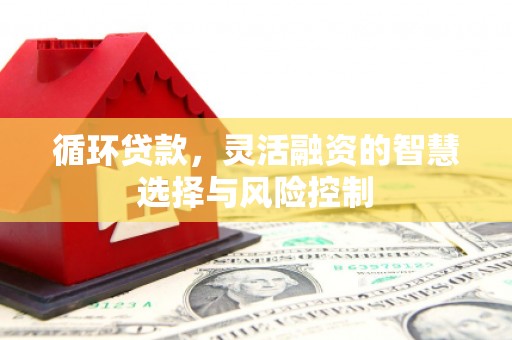 芦竹循环贷款，灵活融资的智慧选择与风险控制