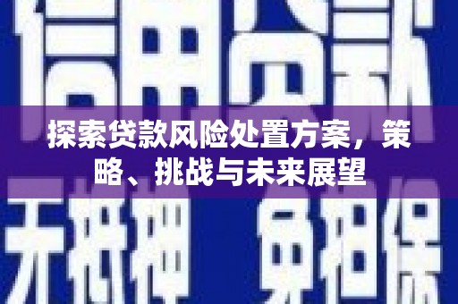 芦竹探索贷款风险处置方案，策略、挑战与未来展望