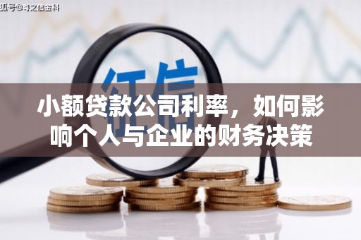 芦竹小额贷款公司利率，如何影响个人与企业的财务决策