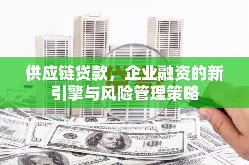 芦竹供应链贷款，企业融资的新引擎与风险管理策略