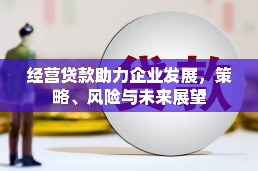 芦竹经营贷款助力企业发展，策略、风险与未来展望