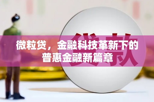 芦竹微粒贷，金融科技革新下的普惠金融新篇章