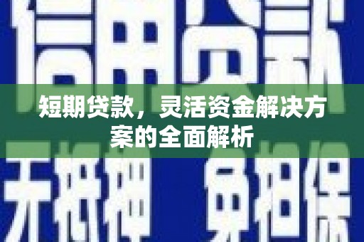 芦竹短期贷款，灵活资金解决方案的全面解析