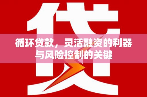 芦竹循环贷款，灵活融资的利器与风险控制的关键