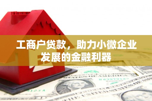芦竹工商户贷款，助力小微企业发展的金融利器
