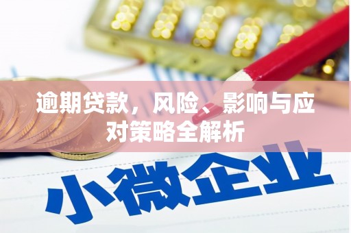 芦竹逾期贷款，风险、影响与应对策略全解析
