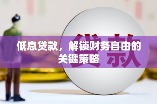 芦竹低息贷款，解锁财务自由的关键策略