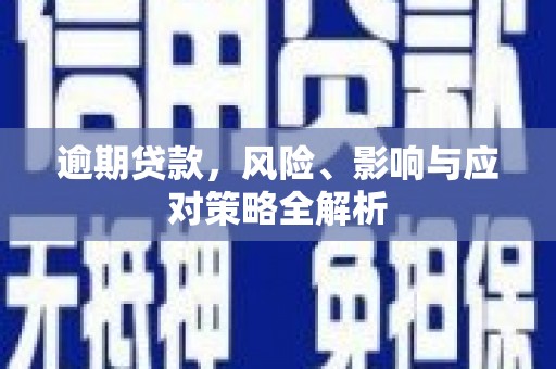 芦竹逾期贷款，风险、影响与应对策略全解析